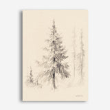 Elegant Pine II Canvas Print