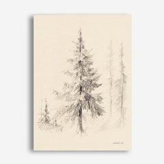 Elegant Pine II Canvas Print