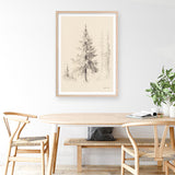Elegant Pine II Art Print
