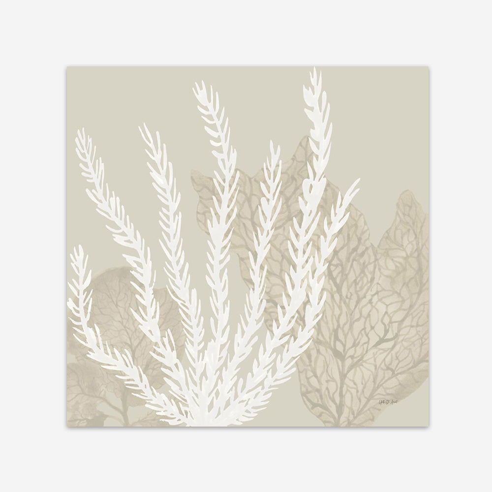 Coastal Reef V (Square) Art Print
