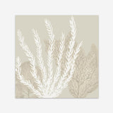 Coastal Reef V (Square) Art Print