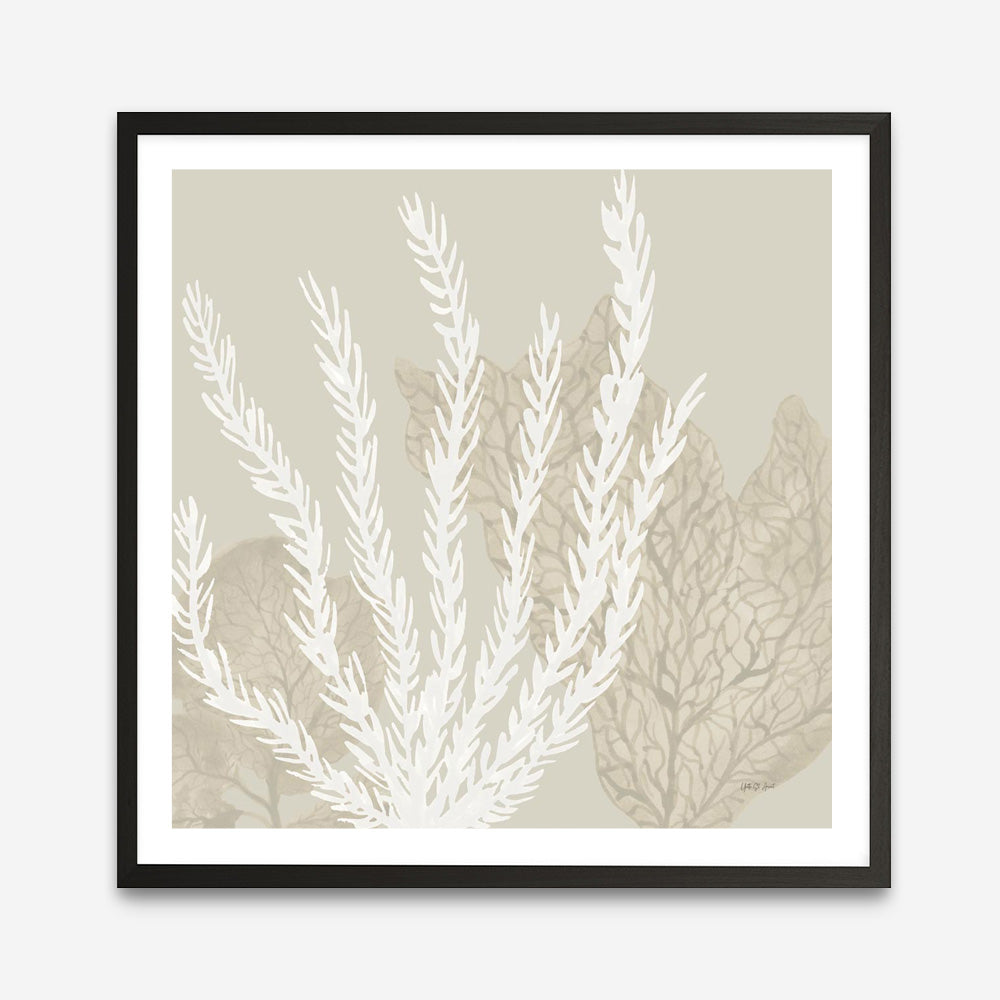 Coastal Reef V (Square) Art Print