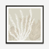 Coastal Reef V (Square) Art Print