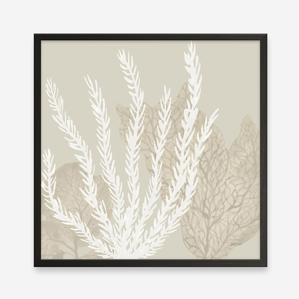 Coastal Reef V (Square) Art Print