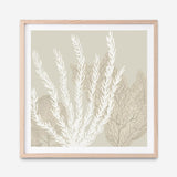 Coastal Reef V (Square) Art Print