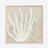 Coastal Reef V (Square) Art Print