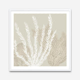 Coastal Reef V (Square) Art Print