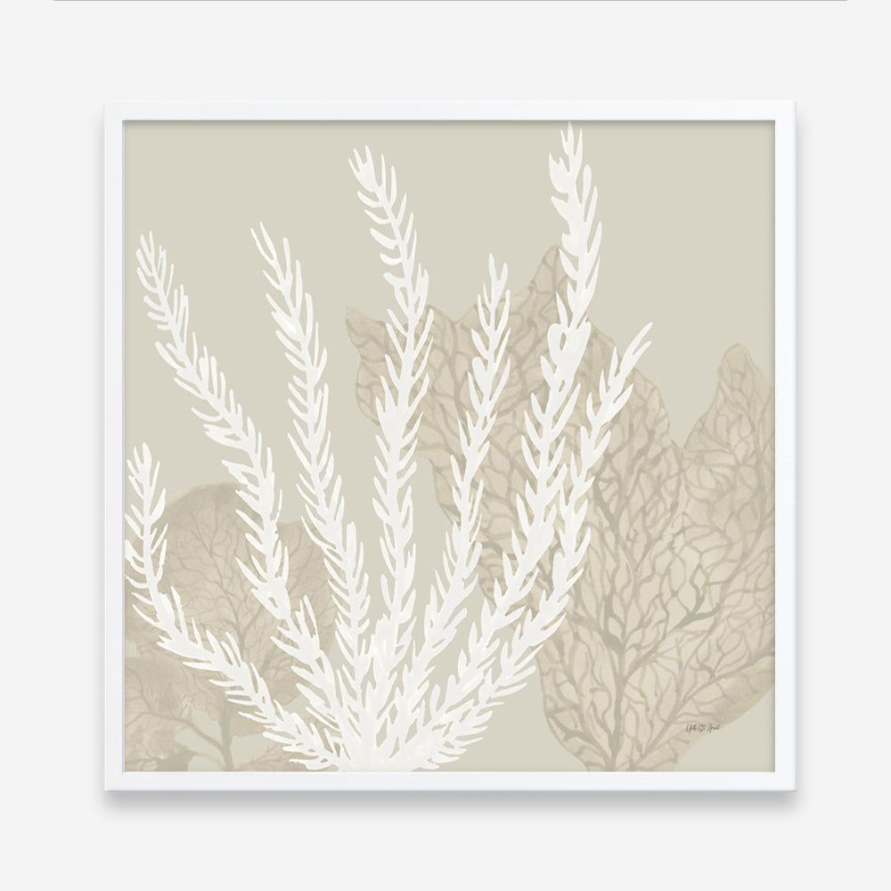 Coastal Reef V (Square) Art Print