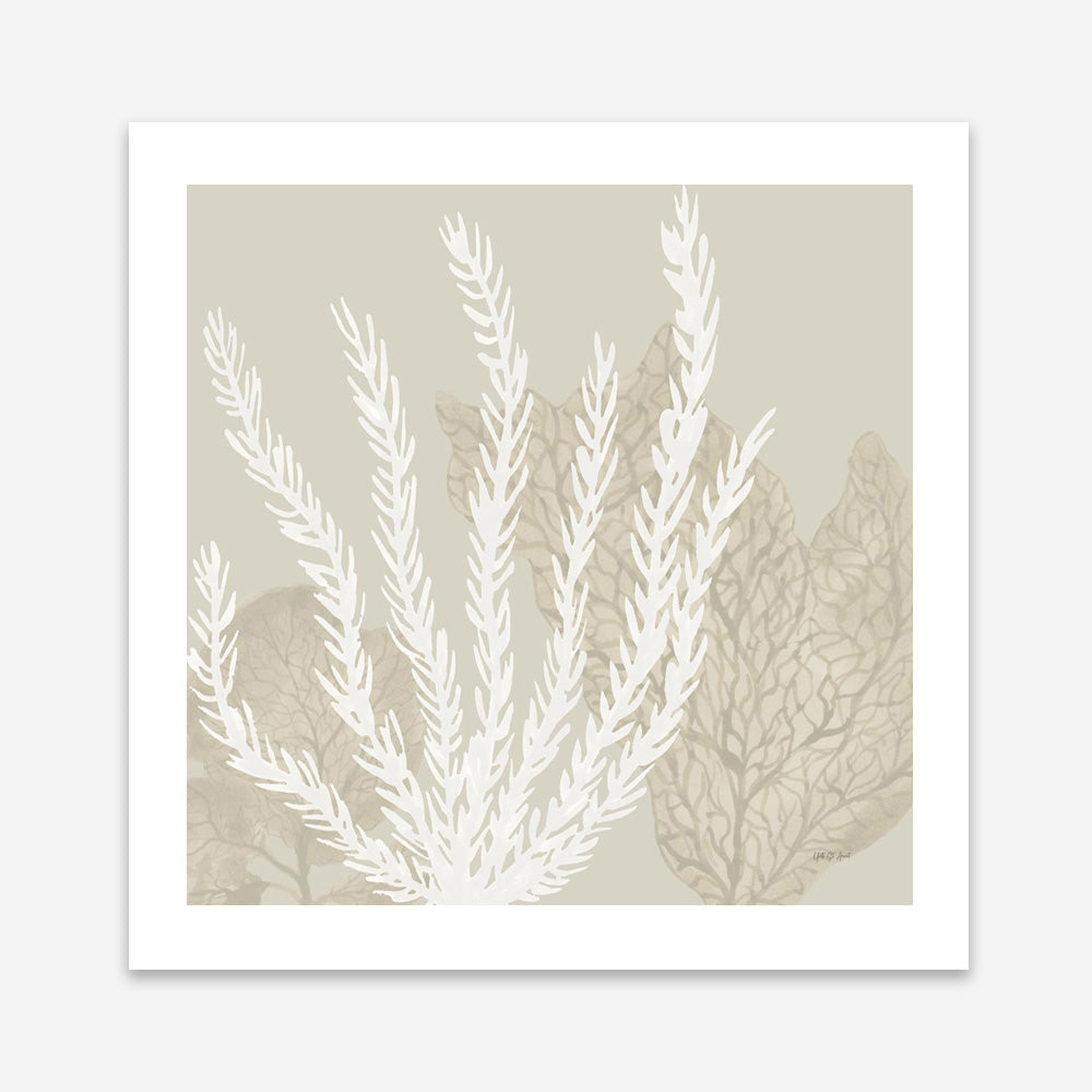 Coastal Reef V (Square) Art Print