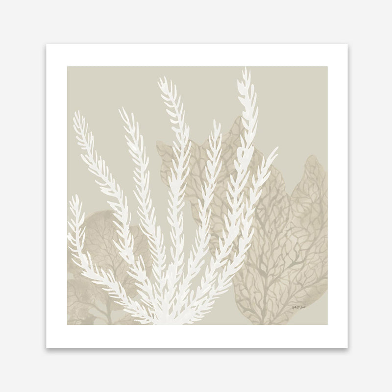 Coastal Reef V (Square) Art Print