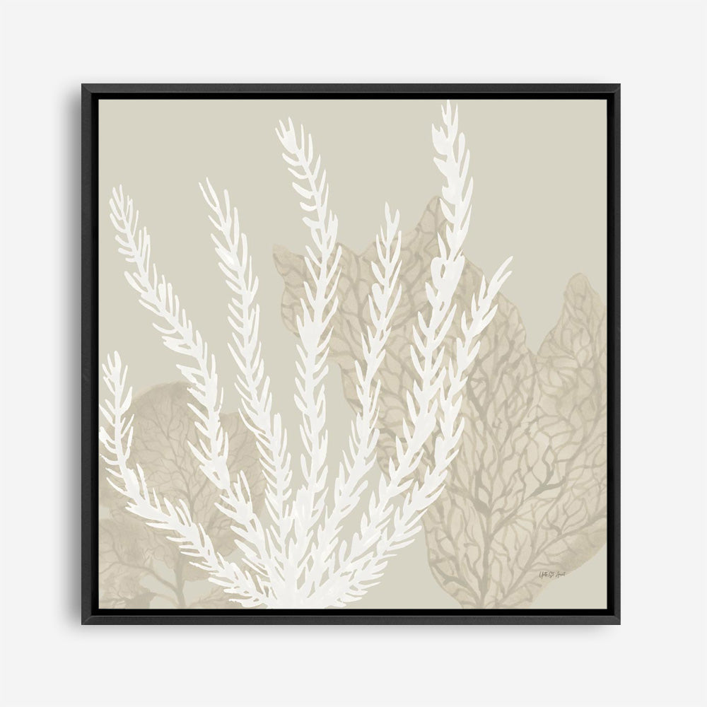 Coastal Reef V (Square) Canvas Print