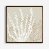 Coastal Reef V (Square) Canvas Print