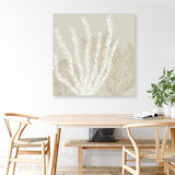 Coastal Reef V (Square) Canvas Print