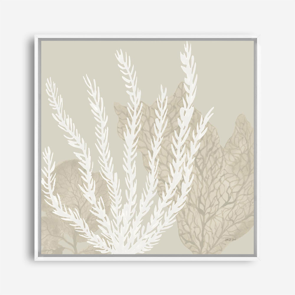 Coastal Reef V (Square) Canvas Print