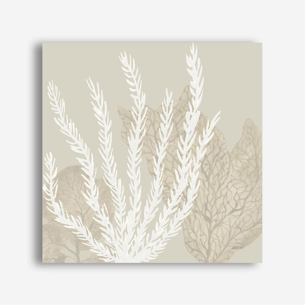 Coastal Reef V (Square) Canvas Print