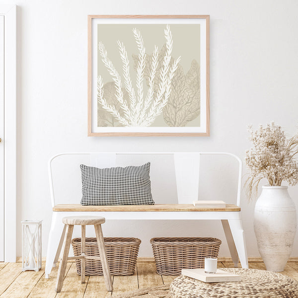 Coastal Reef V (Square) Art Print