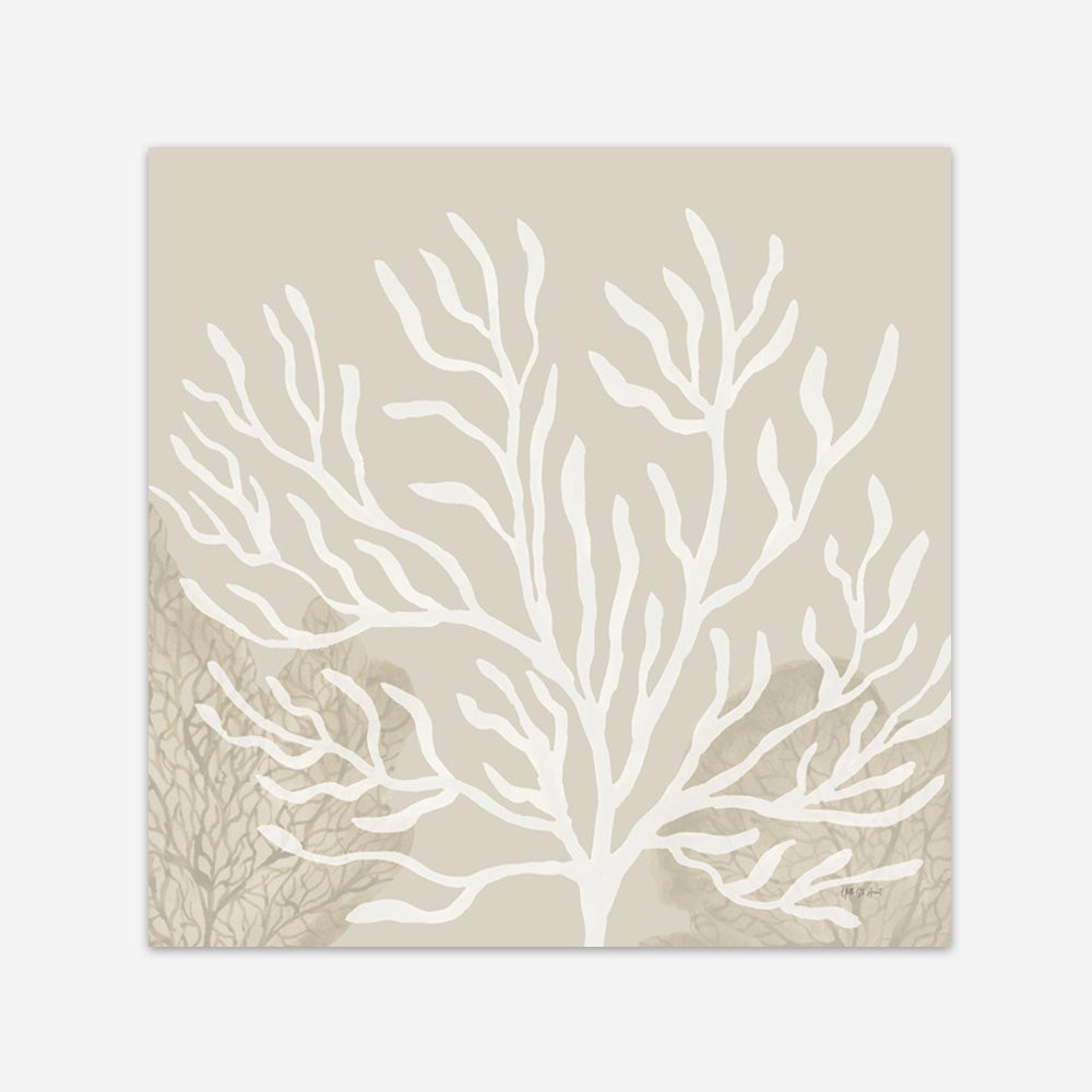 Coastal Reef VI (Square) Art Print