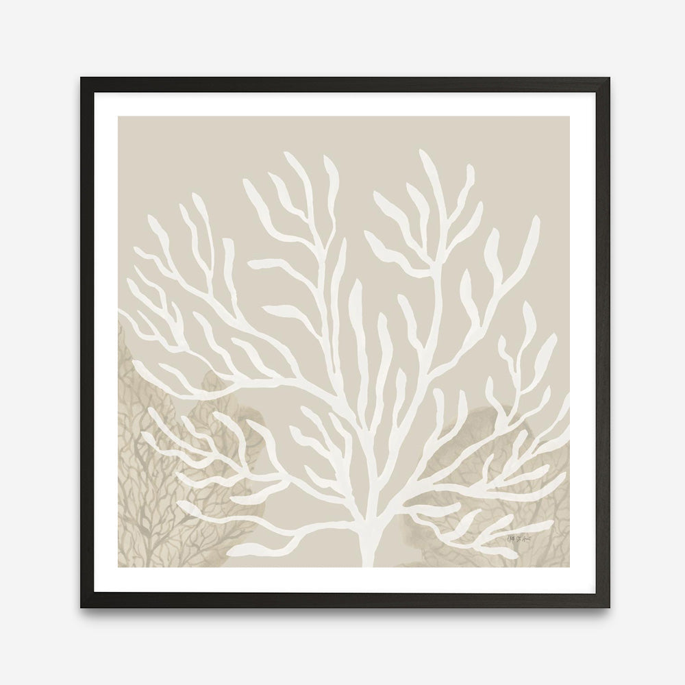 Coastal Reef VI (Square) Art Print