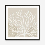 Coastal Reef VI (Square) Art Print