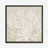 Coastal Reef VI (Square) Art Print