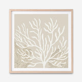 Coastal Reef VI (Square) Art Print