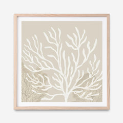 Coastal Reef VI (Square) Art Print
