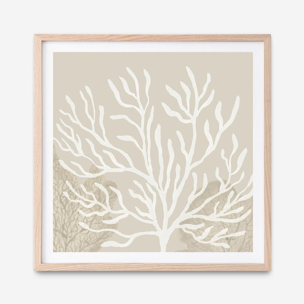 Coastal Reef VI (Square) Art Print