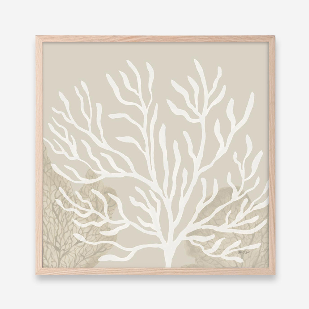 Coastal Reef VI (Square) Art Print