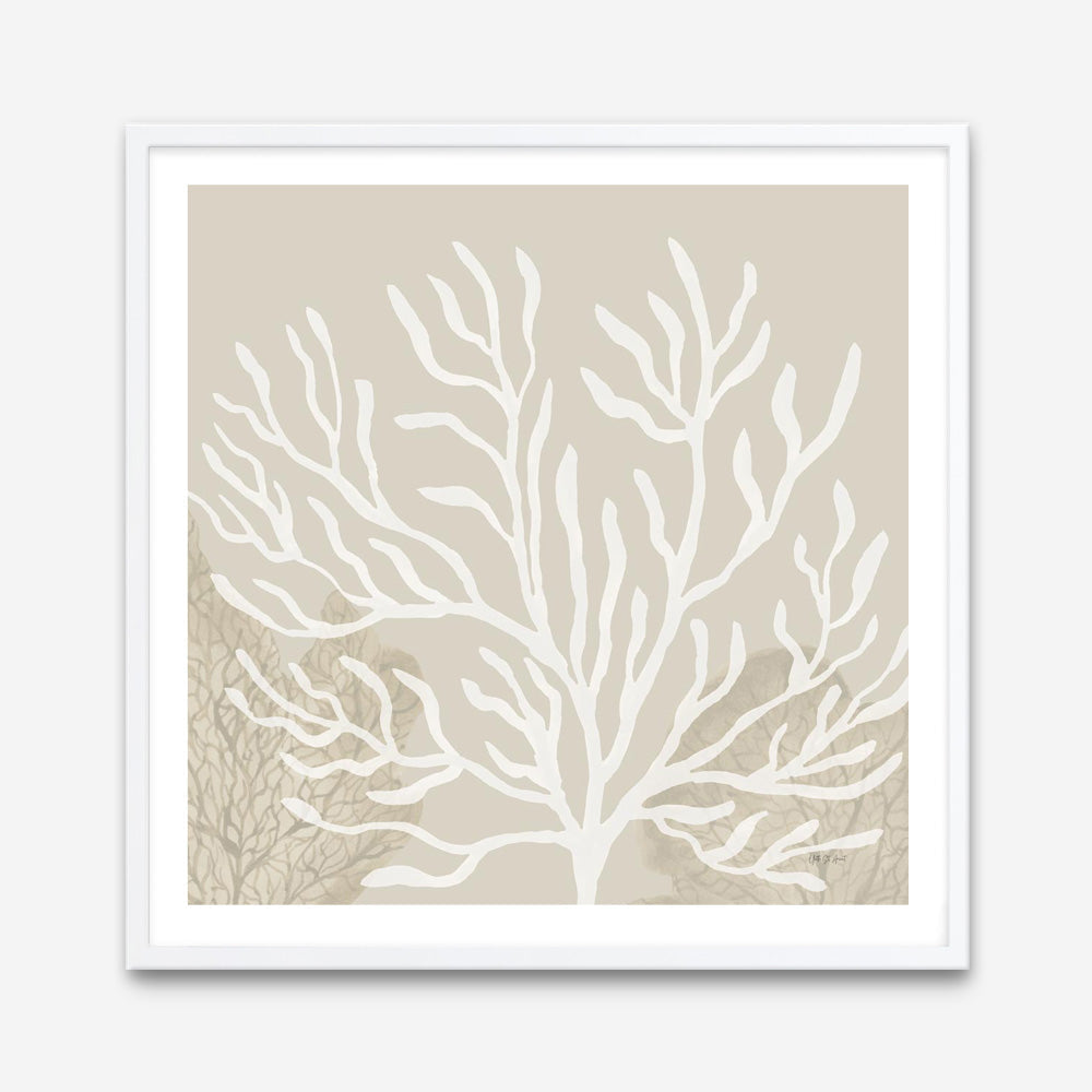 Coastal Reef VI (Square) Art Print