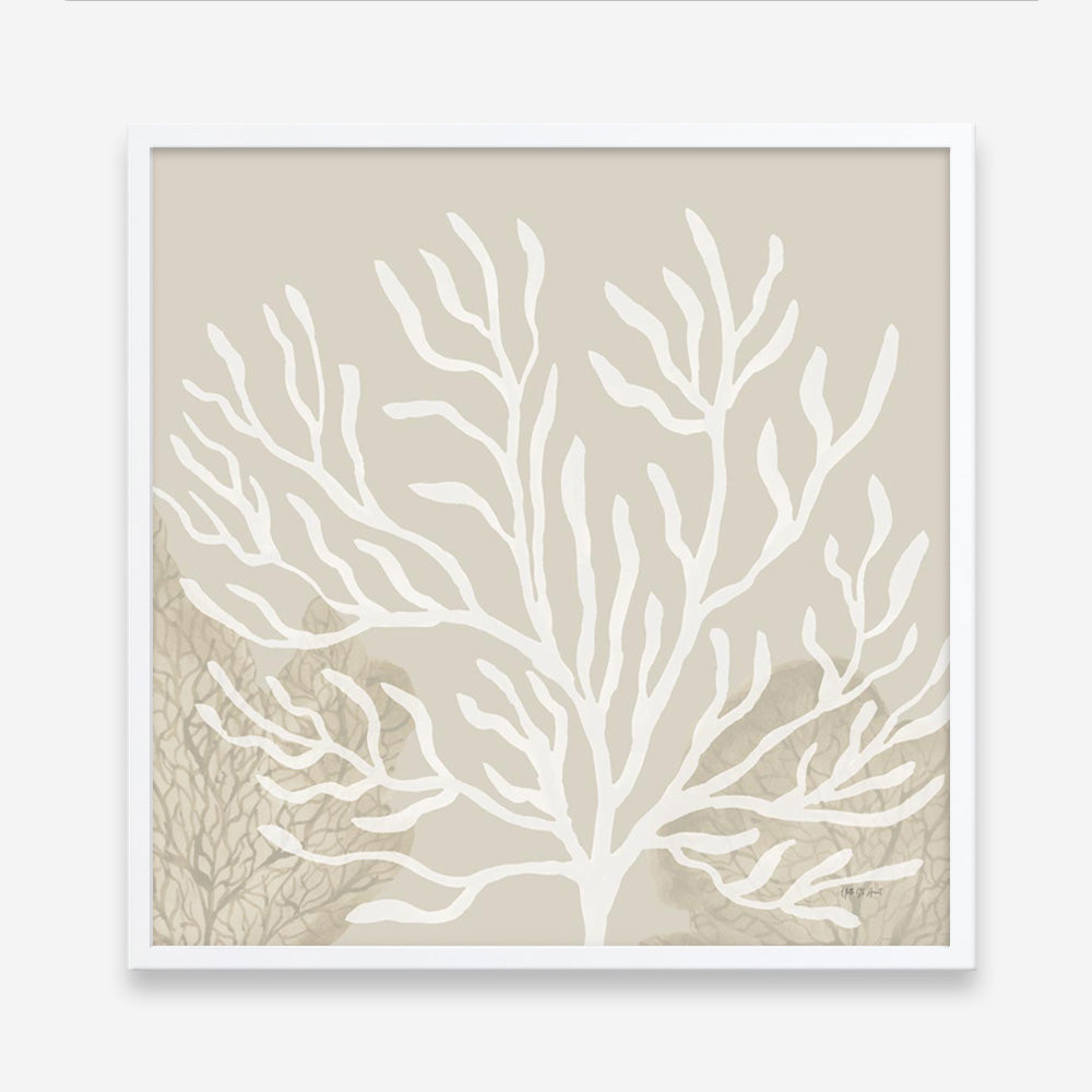 Coastal Reef VI (Square) Art Print