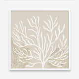 Coastal Reef VI (Square) Art Print