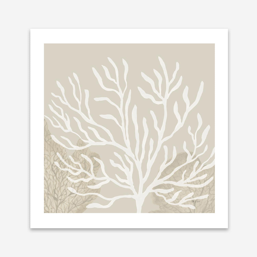 Coastal Reef VI (Square) Art Print