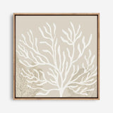 Coastal Reef VI (Square) Canvas Print