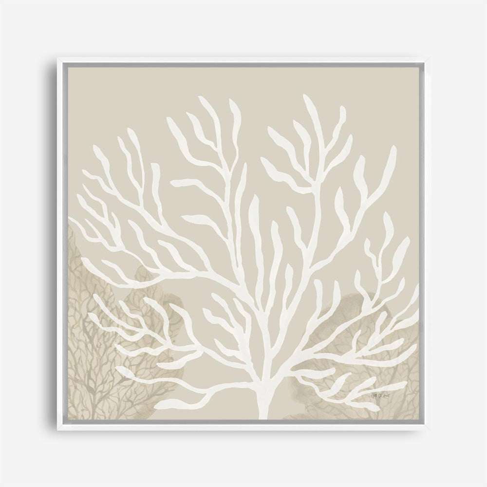 Coastal Reef VI (Square) Canvas Print