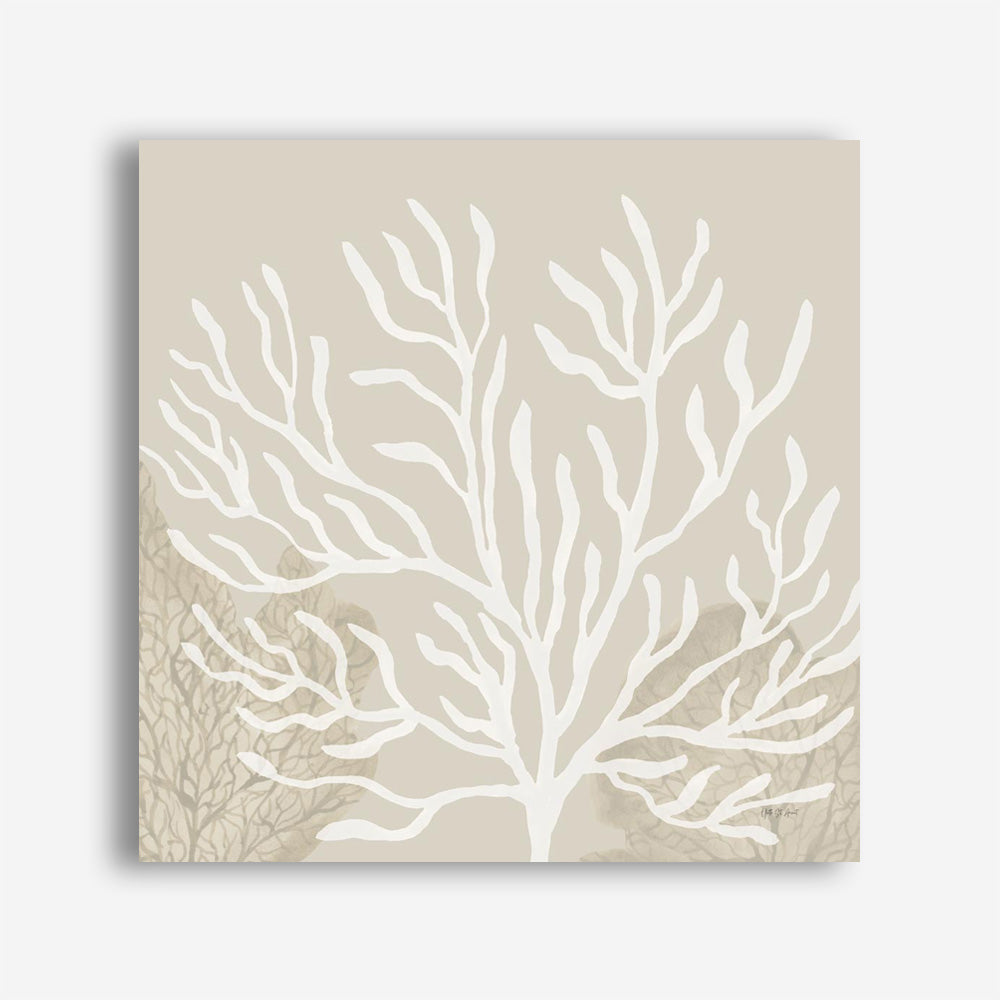 Coastal Reef VI (Square) Canvas Print