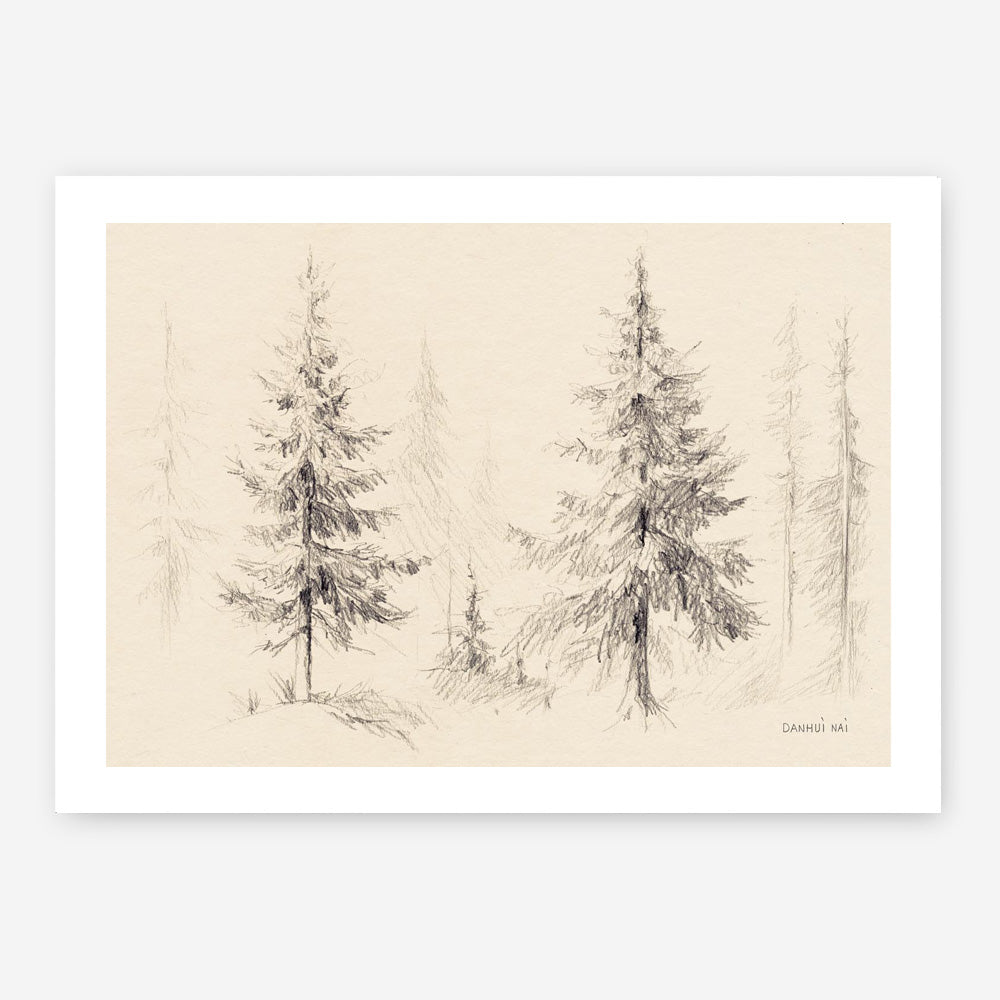 Elegant Pine III Panel Art Print
