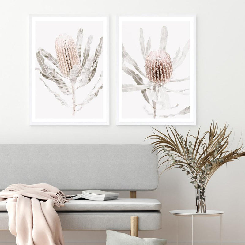 Banksia III Photo Art Print
