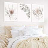 Banksia I Photo Art Print