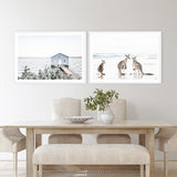 Three Kangaroos Photo Art Print
