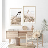 Coastal Grass II Photo Art Print