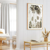 Coconut Palm Plantation Photo Art Print