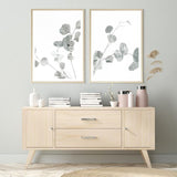 Eucalyptus II Photo Art Print