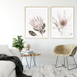 King Protea Photo Art Print