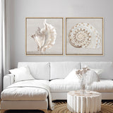 Neutral Shells III (Square) Canvas Print
