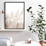 Shop Autumn Pampas Grass Photo Art Print a coastal themed photography wall art print from The Print Emporium wall artwork collection - Buy Australian made fine art poster and framed prints for the home and your interior decor, TPE-1125-AP