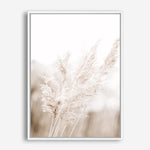 Shop Autumn Pampas Grass Photo Canvas Print a coastal themed photography framed stretched canvas print from The Print Emporium wall artwork collection - Buy Australian made prints for the home and your interior decor space, TPE-1125-CA-35X46-NF