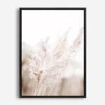 Shop Autumn Pampas Grass Photo Canvas Print a coastal themed photography framed stretched canvas print from The Print Emporium wall artwork collection - Buy Australian made prints for the home and your interior decor space, TPE-1125-CA-35X46-NF