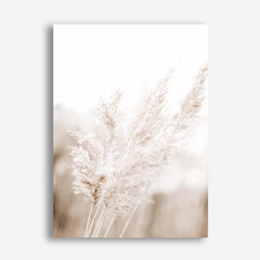 Shop Autumn Pampas Grass Photo Canvas Print a coastal themed photography framed stretched canvas print from The Print Emporium wall artwork collection - Buy Australian made prints for the home and your interior decor space, TPE-1125-CA-35X46-NF