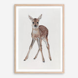 Shop Baby Deer Art Print a painted adorable baby nursery animal themed wall art print from The Print Emporium wall artwork collection - Buy Australian made fine art painting style poster and framed prints for the home and your interior decor room, TPE-200-AP