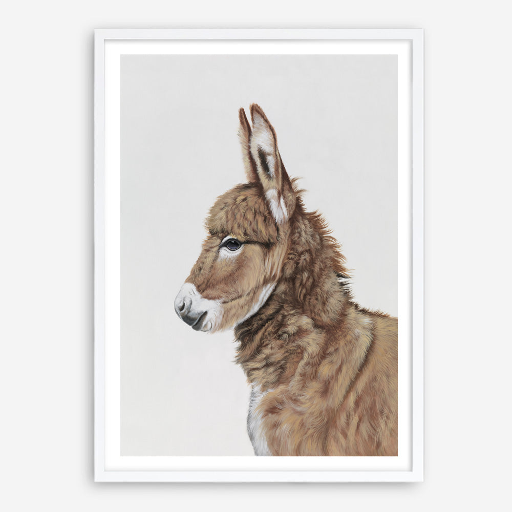 Shop Baby Donkey Art Print a painted adorable baby nursery animal themed wall art print from The Print Emporium wall artwork collection - Buy Australian made fine art painting style poster and framed prints for the home and your interior decor room, TPE-258-AP